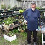Nozz Fletcher tending the Men’s Shed garden